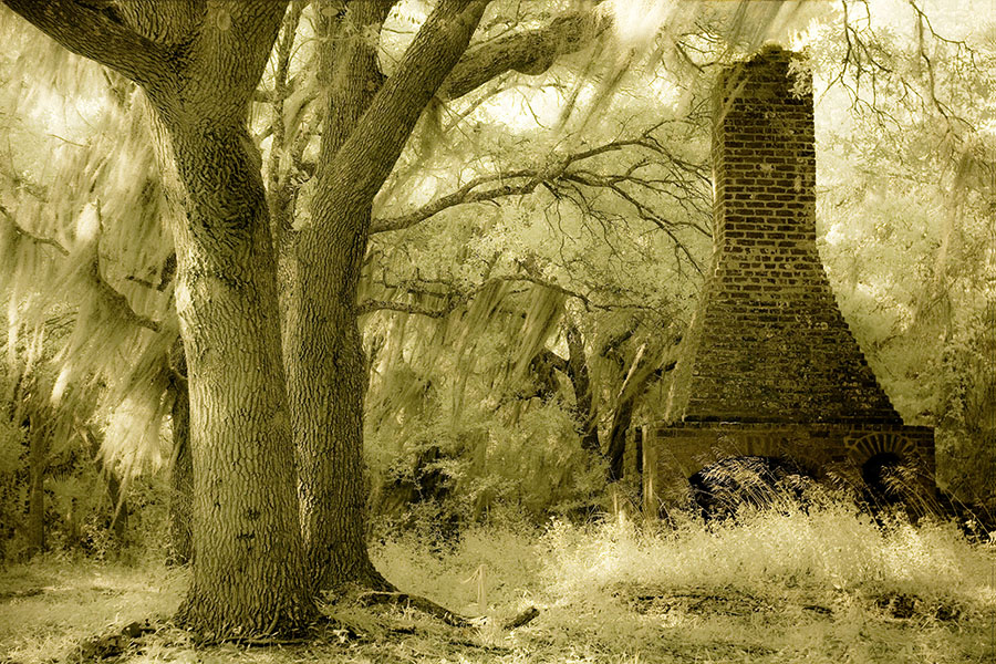 Cannons Point st. Simons Island Georgia Fine Art Photography by Robin Davis photo photography workshop